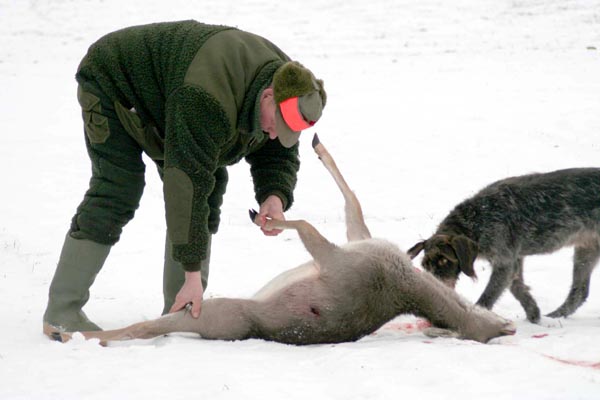 Killikus&reg; Fotographie